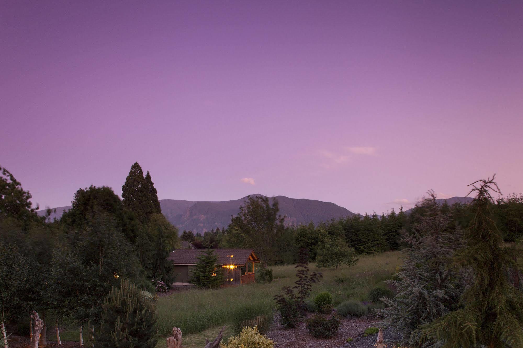 Carson Ridge Luxury Cabins Luaran gambar